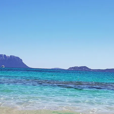 500 Miglia Tempio Pausania