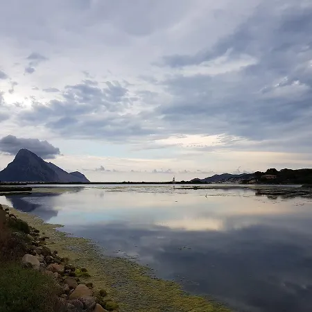 Oda ve Kahvaltı 500 Miglia Tempio Pausania